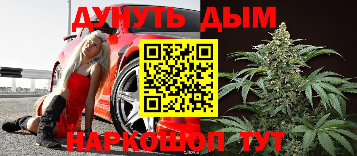 Бошки марихуана планчик  Вход с VPN  Марихуана OG Kush  Каннабис план  Петрозаводск 